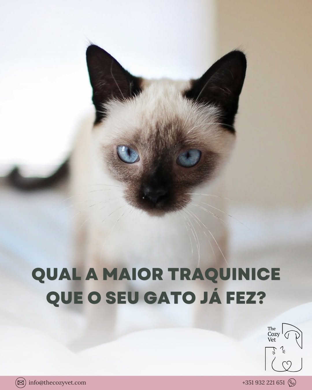 Quem tem gatos sabe... 😅

Entre partir copos, roubar comida, plantas roídas e zoomies às 3h da manhã... venha o seu gato e escolha 😂

Qual foi a maior traquinice que o seu gato já fez?👇 Queremos ler as vossas histórias 🐱✨