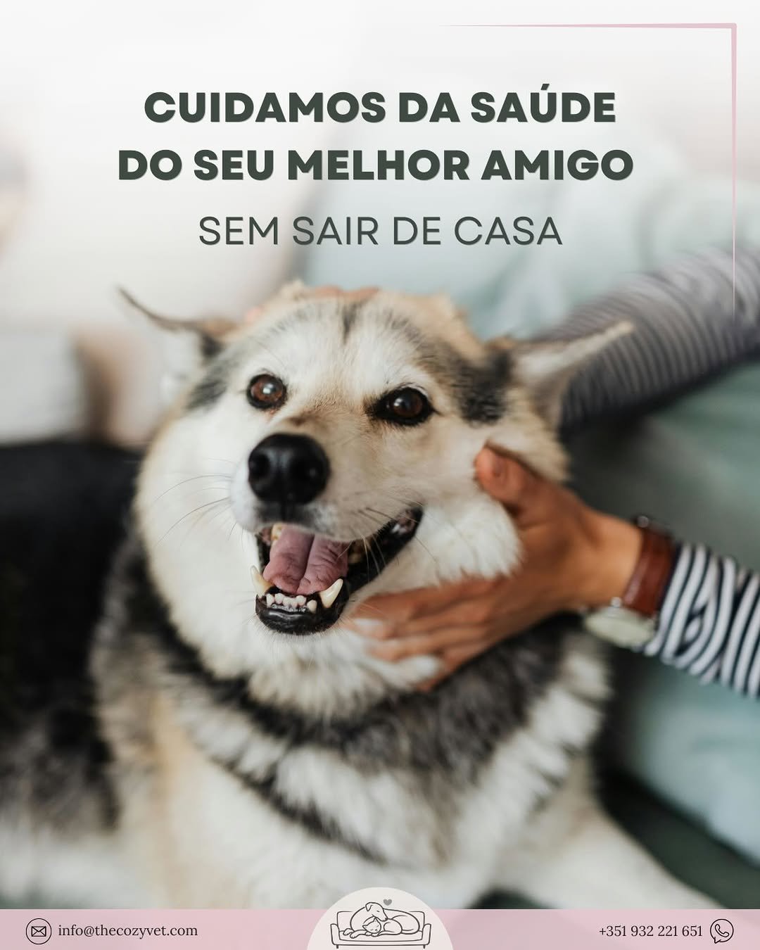Cuidar da saúde do seu animal não tem de significar stress, transportadoras ou salas de espera.

O The Cozy Vet é um serviço veterinário ao domicílio pensado para tornar as consultas mais tranquilas, com todo o tempo que o seu animal precisa.

Consultas, vacinação e acompanhamento clínico personalizados no conforto da sua casa.

📍 Lisboa e arredores
📩 info@thecozyvet.com
WhatsApp +351 932 221 651

The Cozy Vet - Menos stress, mais cuidado 💕